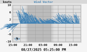 Wind Vector